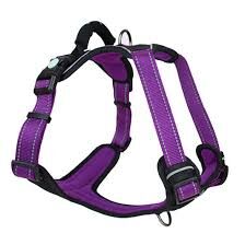 Huskimo Ultimate Harness Aurora Medium