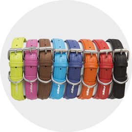 Dog Collars