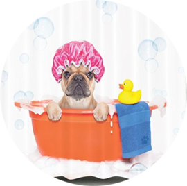 Dog & Puppy Shampoo