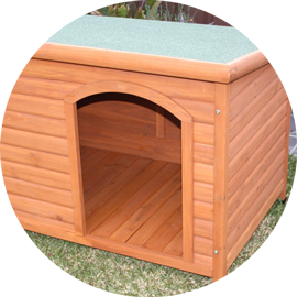 Plastic & Wooden Dog Kennels