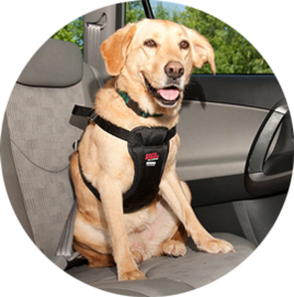 Dog Harnesses