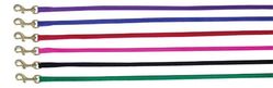 Beau Pet Nylon Lead 10mm x 120cm