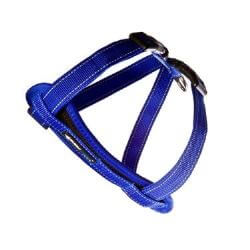 Ezy Dog Chest Plate Harness Blue medium