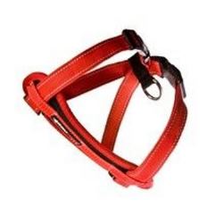Ezy Dog Chest Plate Harness Red small