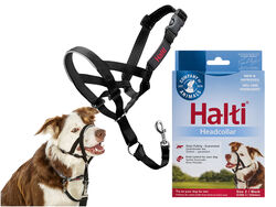 Halti Headcollar Size 2