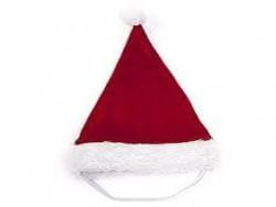 Kazoo Christmas Santa Hat large