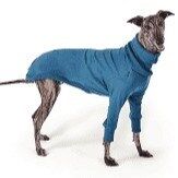 Kazoo Greyhound Jumper Bondi 55-59cm XS