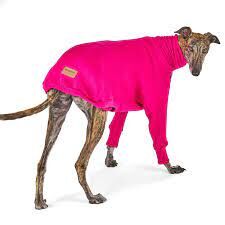 Kazoo Greyhound Jumper Kakadu 56-58cm XS