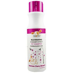 Nootie Shampoo Japanese Cherry Blossom 472ml